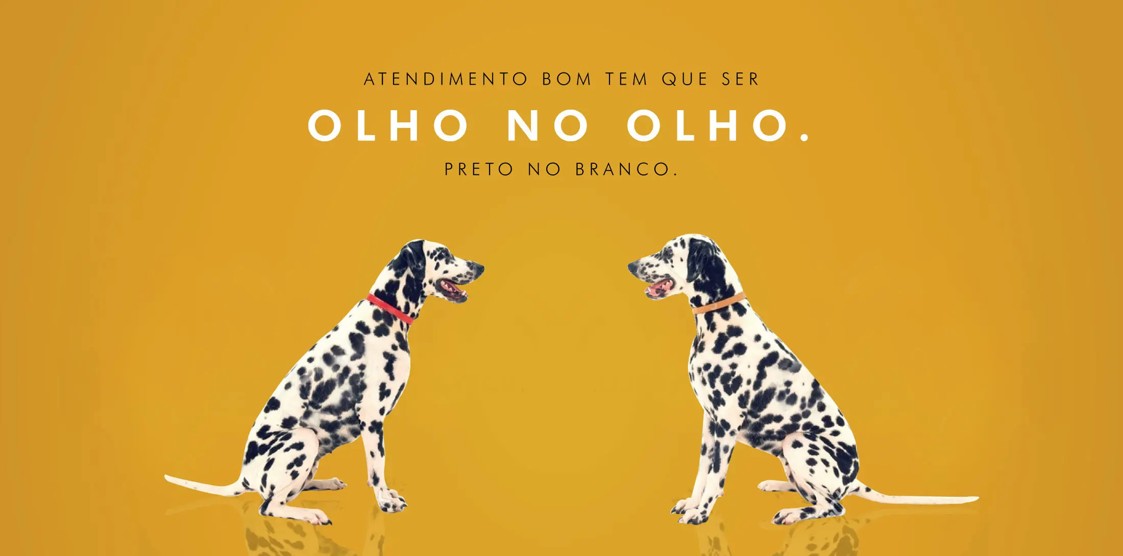 CaioCom - Projetos Imobiliários